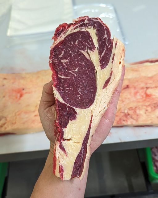 Double Aged Dairy Beef