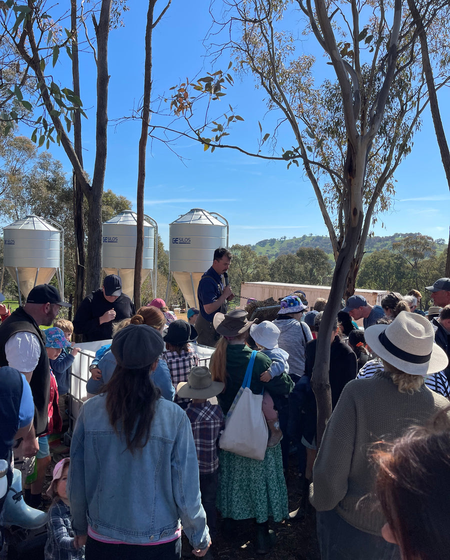 Discovery Day at Wolki Farm