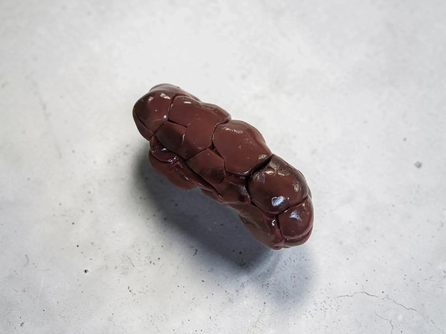 beef kidney