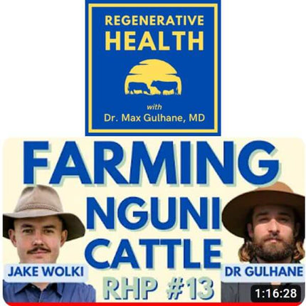 <strong>MAX GULHANE, REGENERATIVE HEALTH PODCAST</strong> January 10, 2023. Episode 13: Nguni cattle and the Australian Beef Initiative