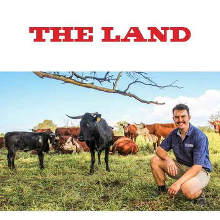 <strong>THE LAND </strong>February 15, 2023. Holistic grazing set up for Albury farmer