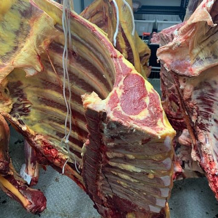 Double Aged Dairy Beef