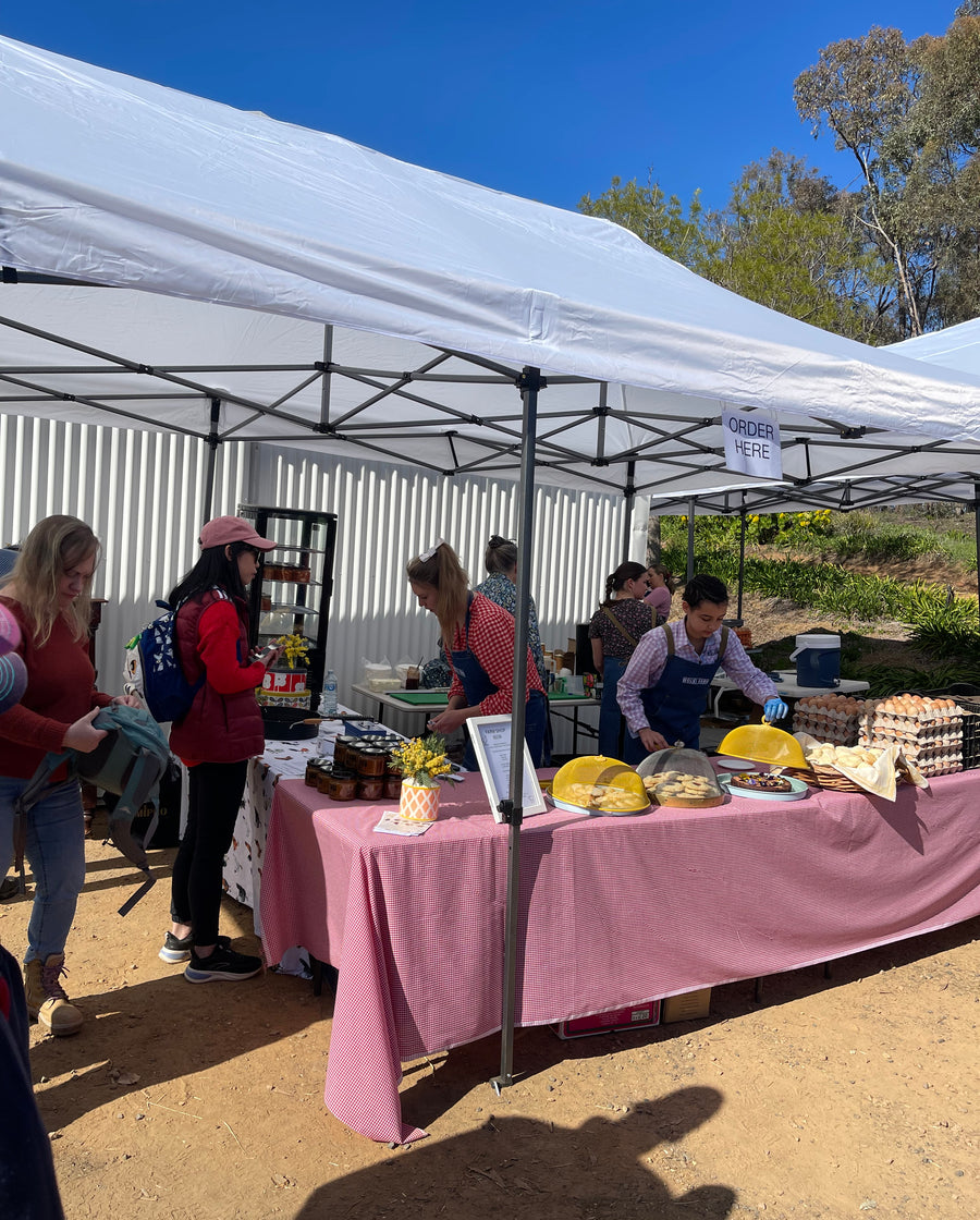 Discovery Day at Wolki Farm