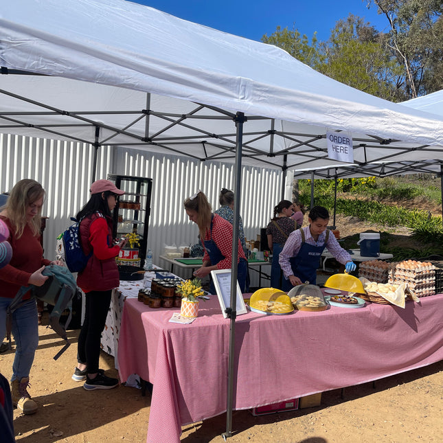 Discovery Day at Wolki Farm
