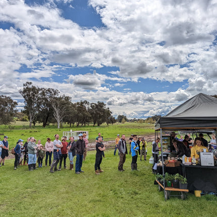 Discovery Day at Wolki Farm