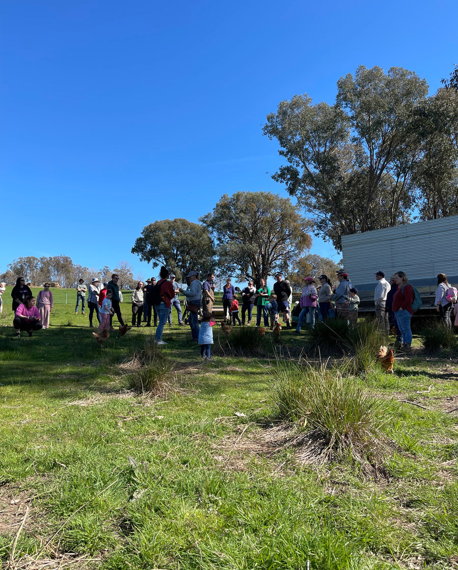 Discovery Day at Wolki Farm