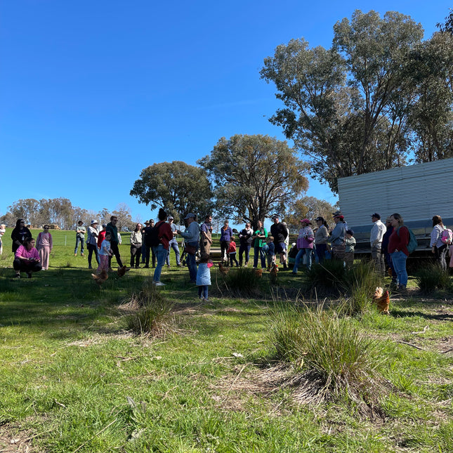 Discovery Day at Wolki Farm