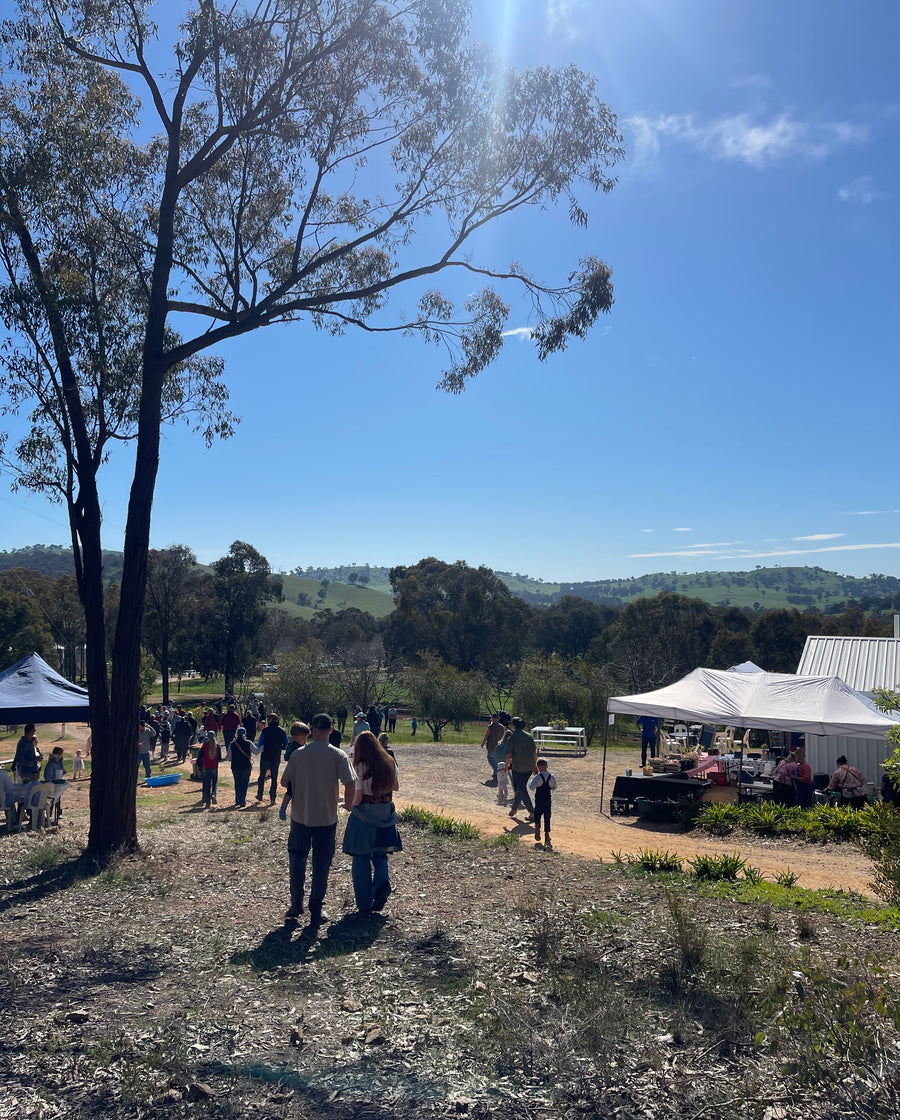 Discovery Day at Wolki Farm