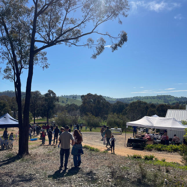 Discovery Day at Wolki Farm