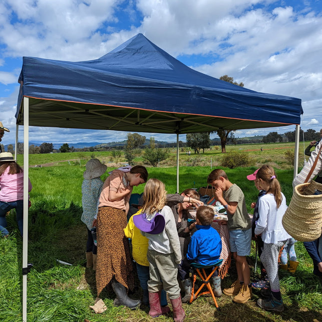Discovery Day at Wolki Farm