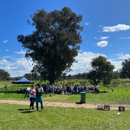 Discovery Day at Wolki Farm