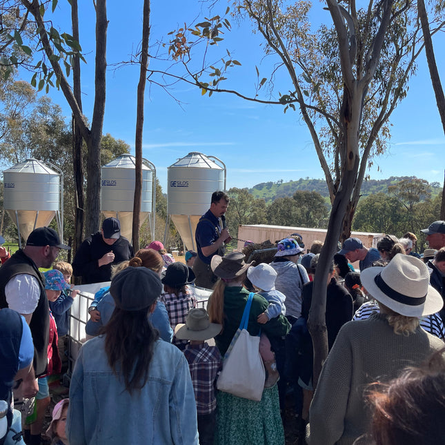 Discovery Day at Wolki Farm