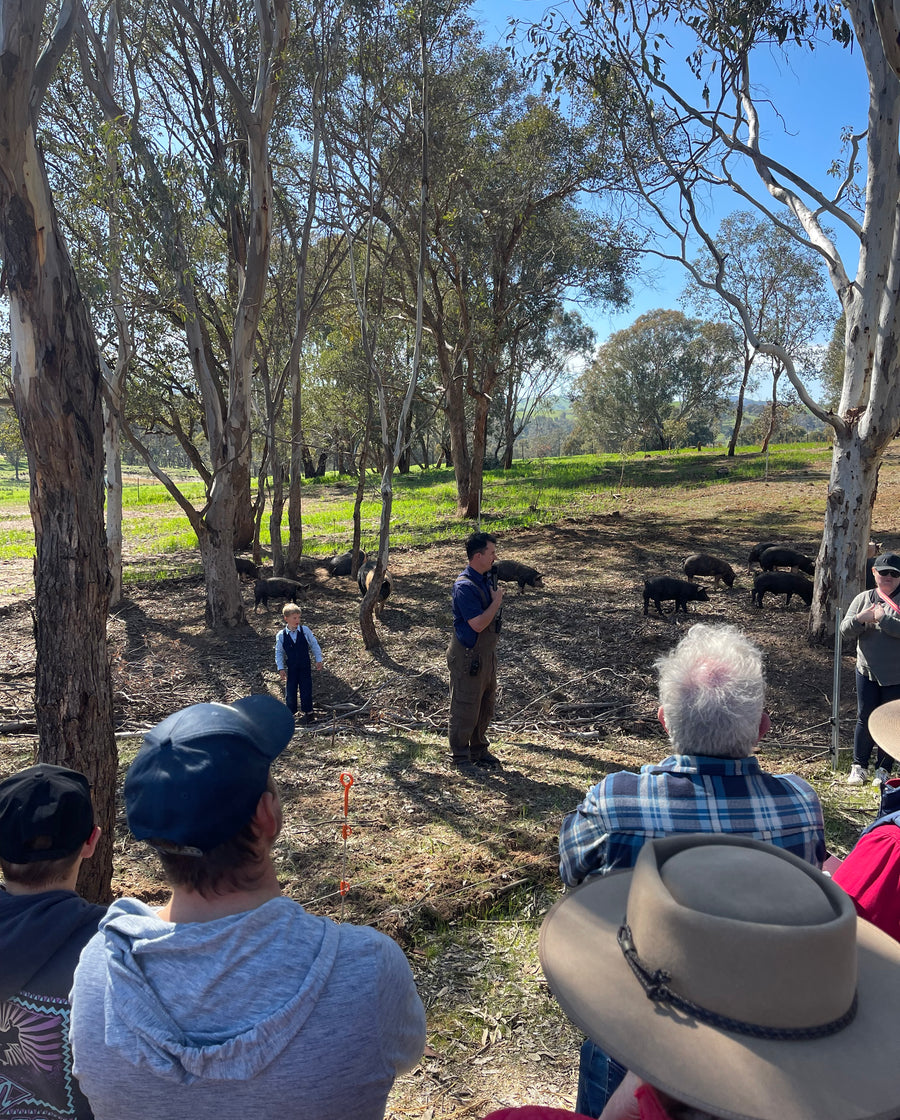 Discovery Day at Wolki Farm