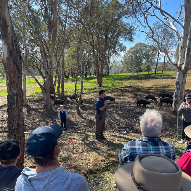 Discovery Day at Wolki Farm