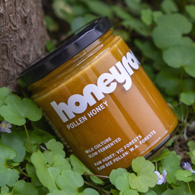 Honeyrock Pollen Honey jar among clover