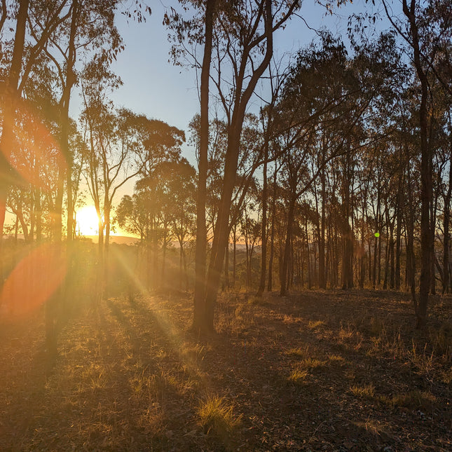 1 Night Glamping at Wolki Farm