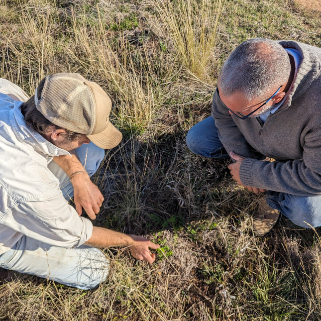 Homestead Agronomy