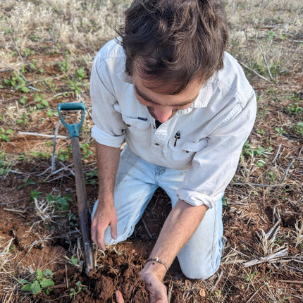 Homestead Agronomy