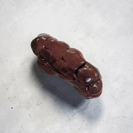 beef kidney