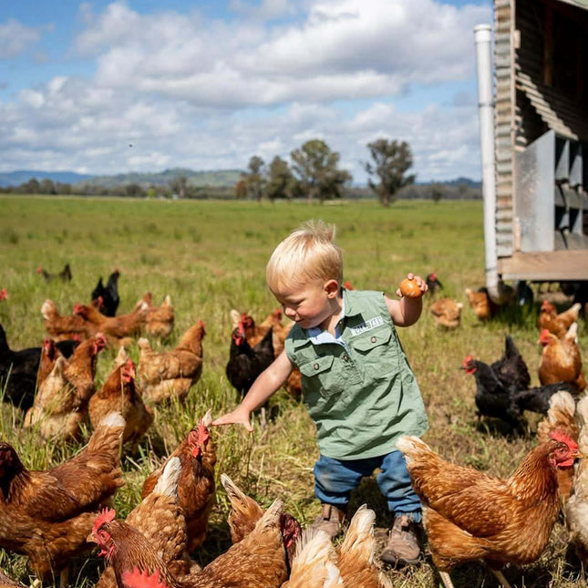 A young child collecting a fresh egg among the free-range hens at Wolki Farm
