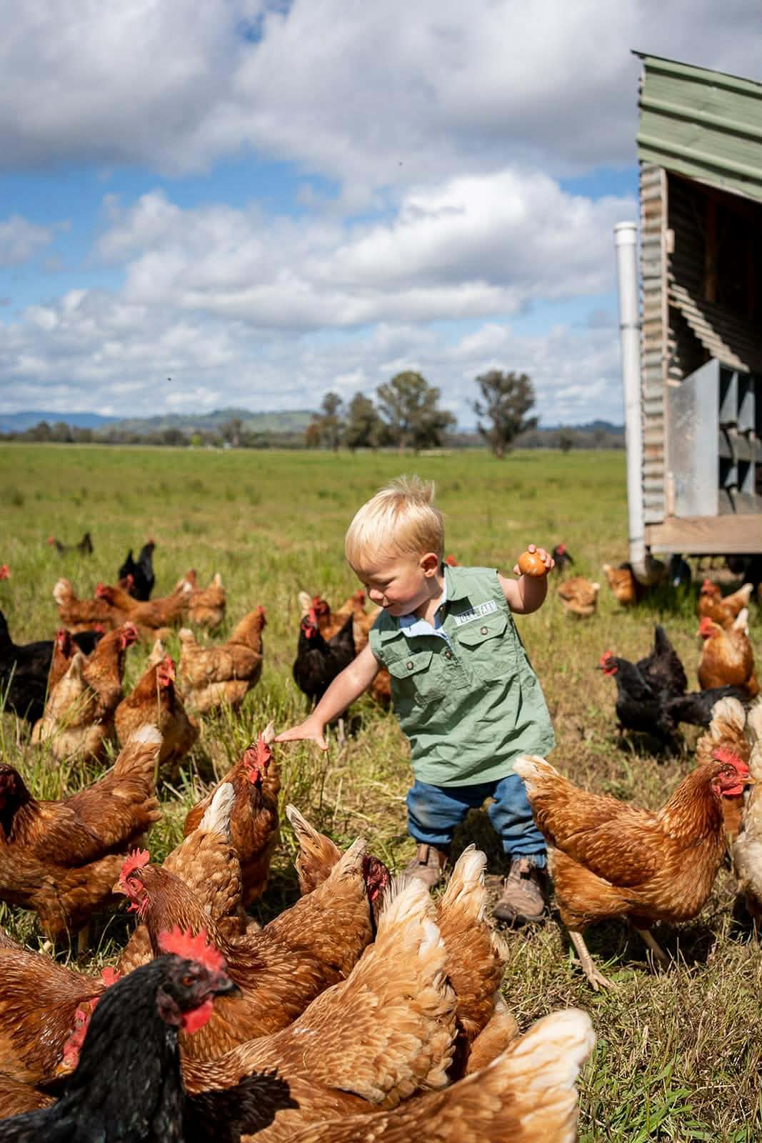 Discovery Day at Wolki Farm