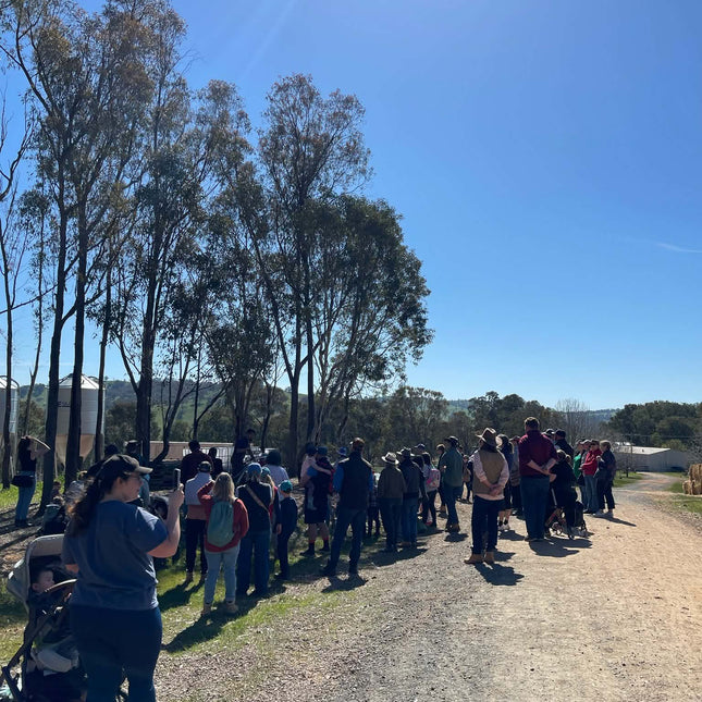 Guided farm tour group walking the farm track under the gum trees