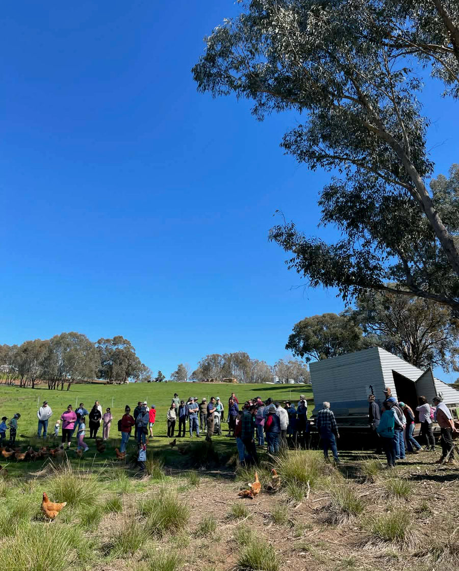 Families out in the paddocks with the hens and mobile chicken coop on Discovery Day