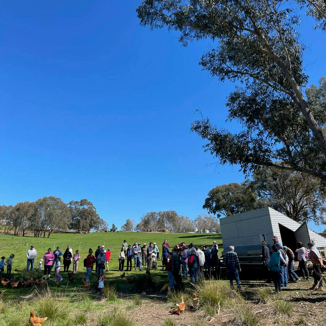Families out in the paddocks with the hens and mobile chicken coop on Discovery Day