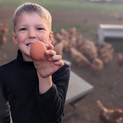 Ottofowl fertile eggs from the free-range flock