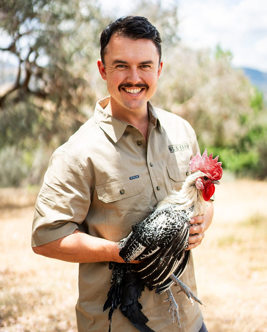 Ottofowl breeding rooster