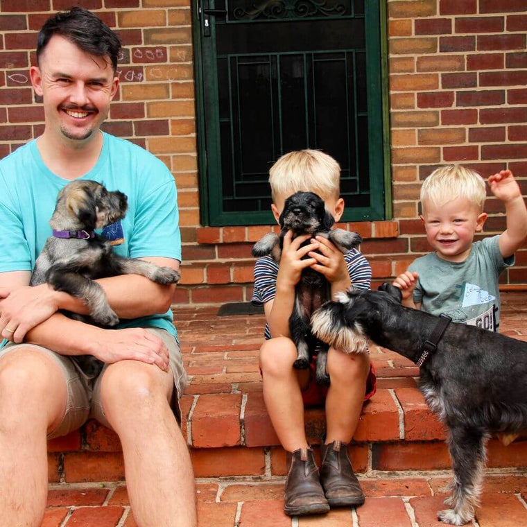 Wolki family raised puppies