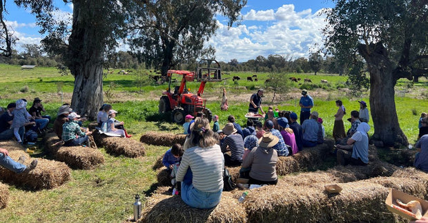 WOLKI FARM EVENTS